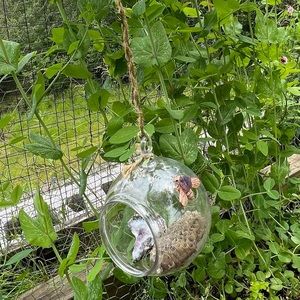 Amethyst wasps next mixed media hanging art